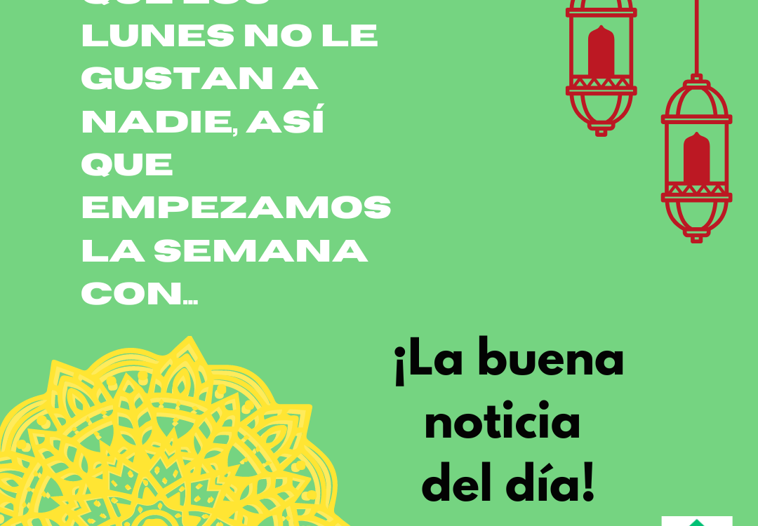 LA BUENA NOTICIA DEL DÍA – Novedades Contenedor 178